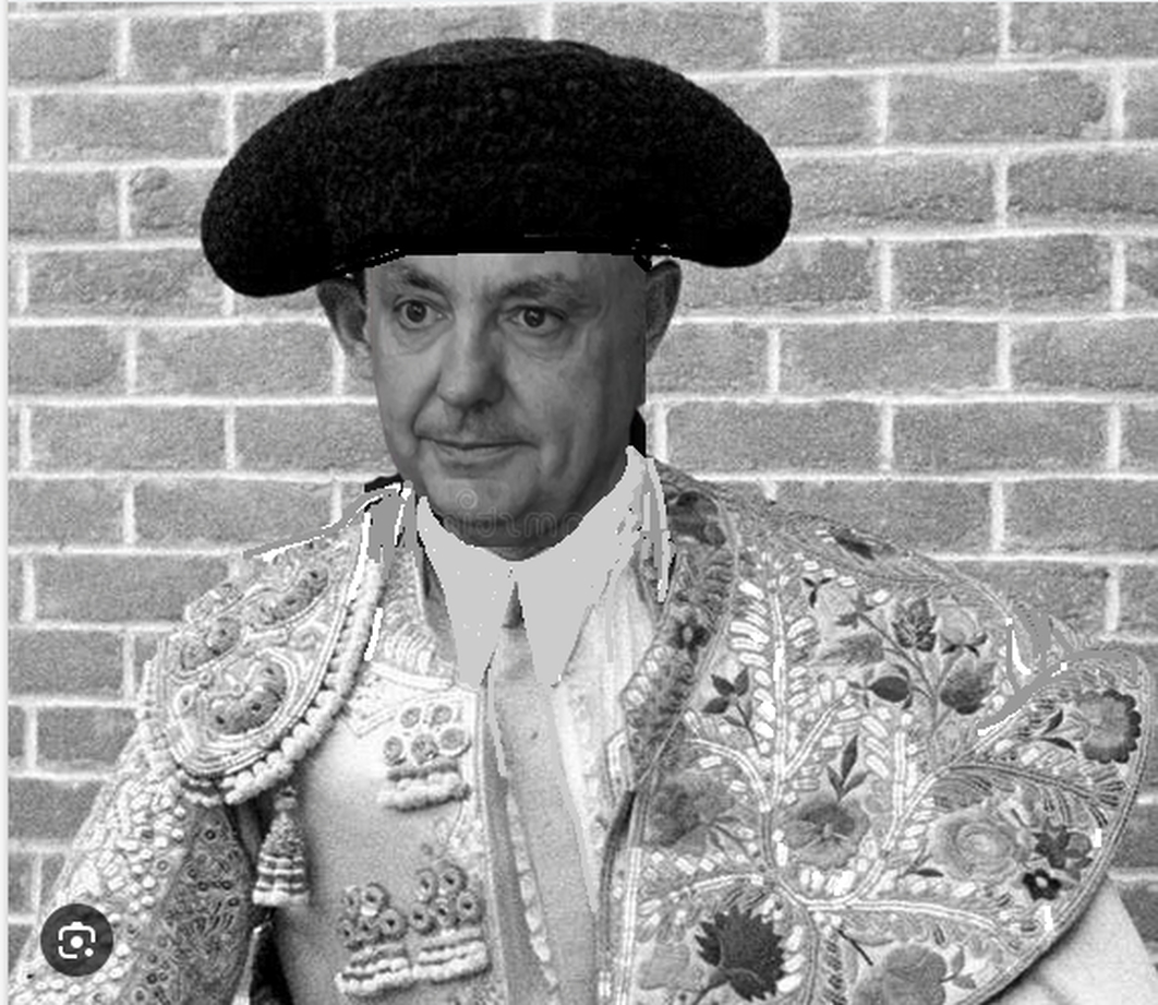 Manolete Vilas, diestro sin igual de la novelería española